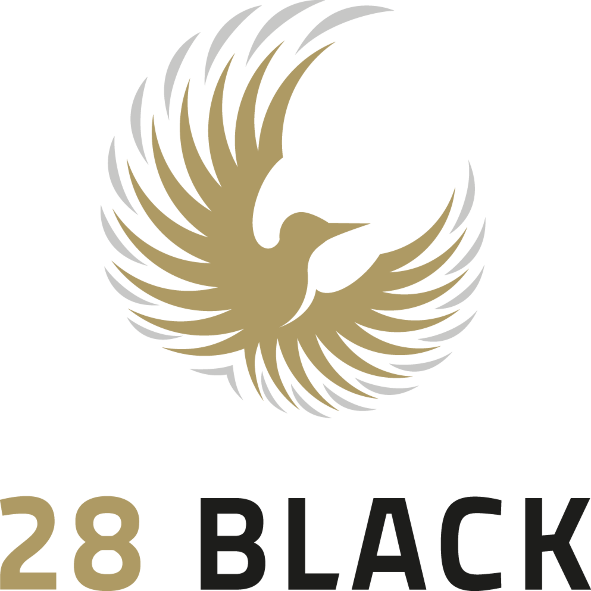 lazyloaded Image